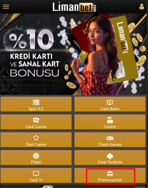 Pronet altyapısında promosyon şartlarını görebileceğiniz bağlantı.